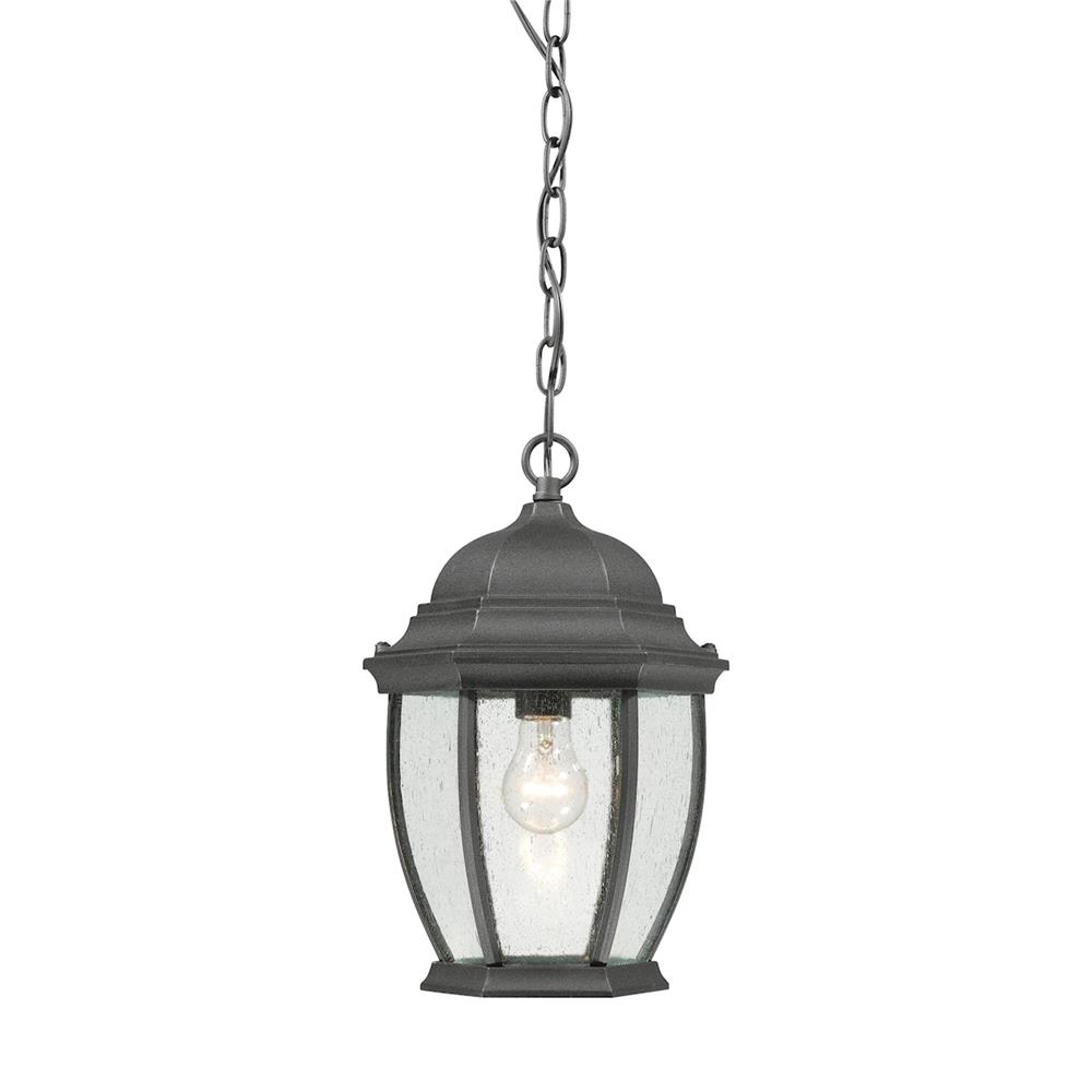 Thomas Lighting SL92337 Covington 1-light Outdoor Hanging Lantern in Black