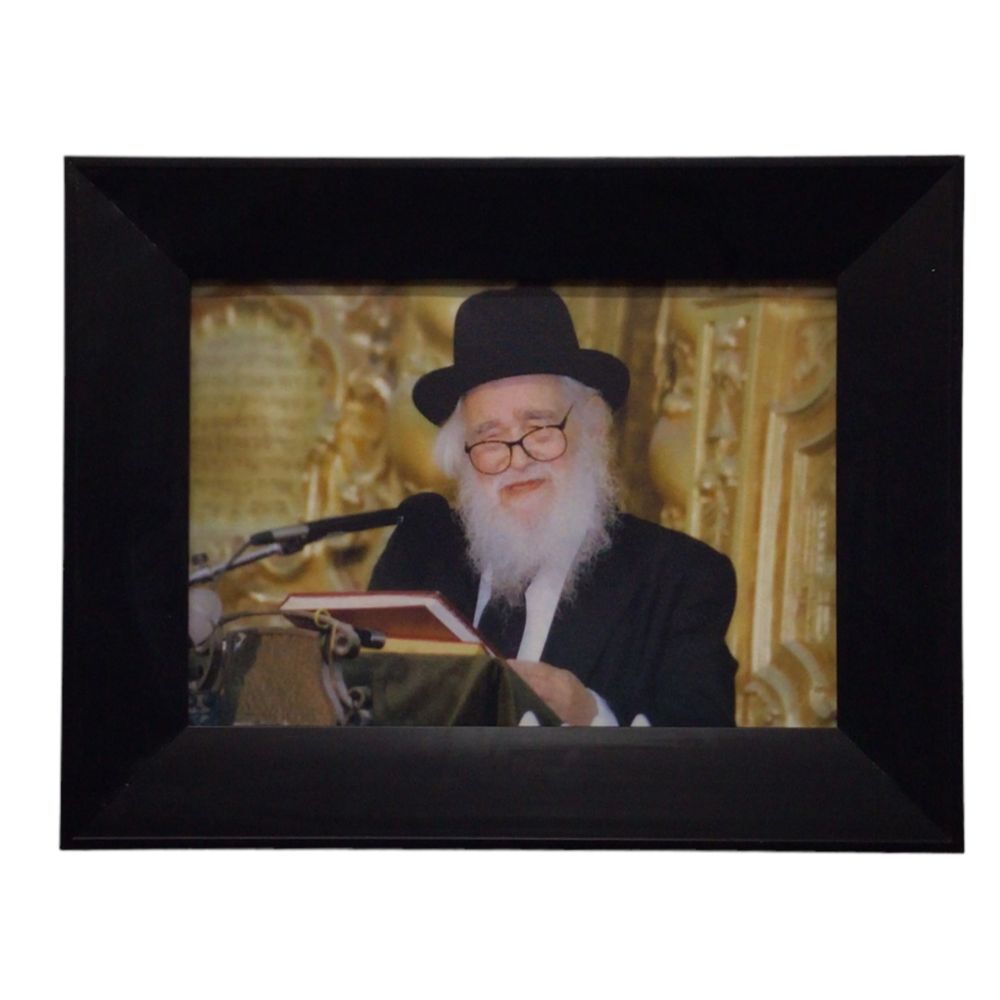 Painting of Harav Schach, Size 14x20, Modern Brown Frame