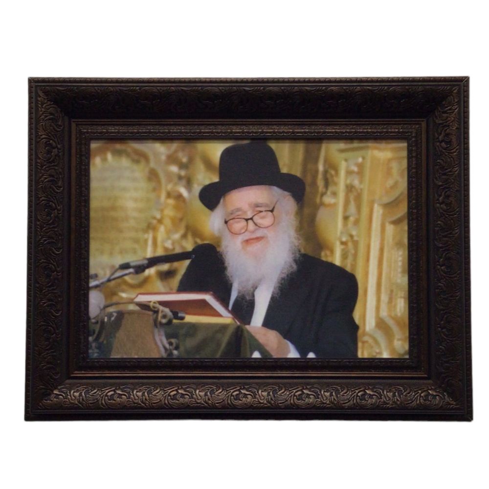 Painting of Harav Schach, Size 14x20, Brown Frame
