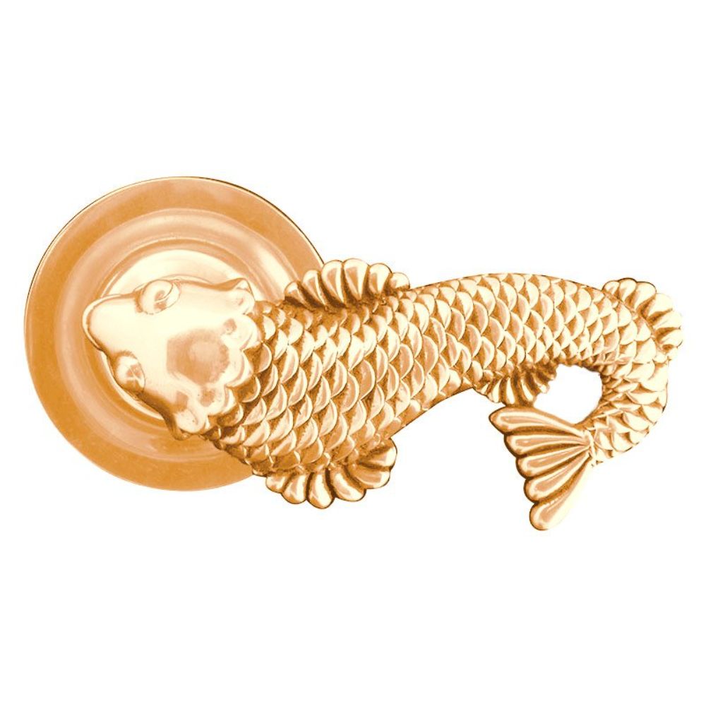 Vicenza DHPA8006-PG Pollino Door Handle Passage Koi in Polished Gold