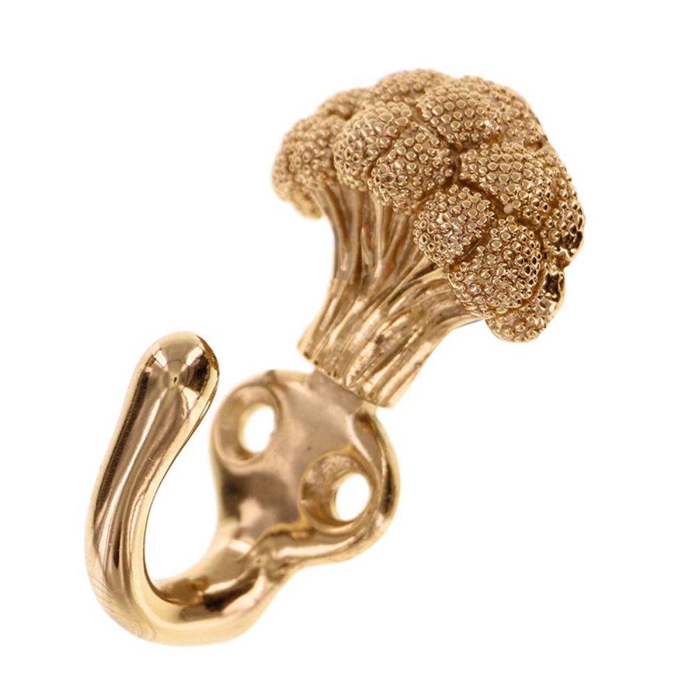 Vicenza H5013-PG Fiori Hook Broccoli in Polished Gold