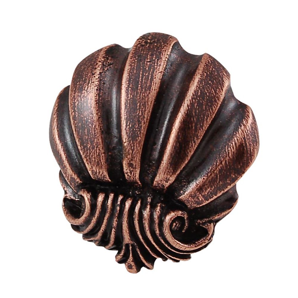 Vicenza K1102-AC Knob Large Shell in Antique Copper