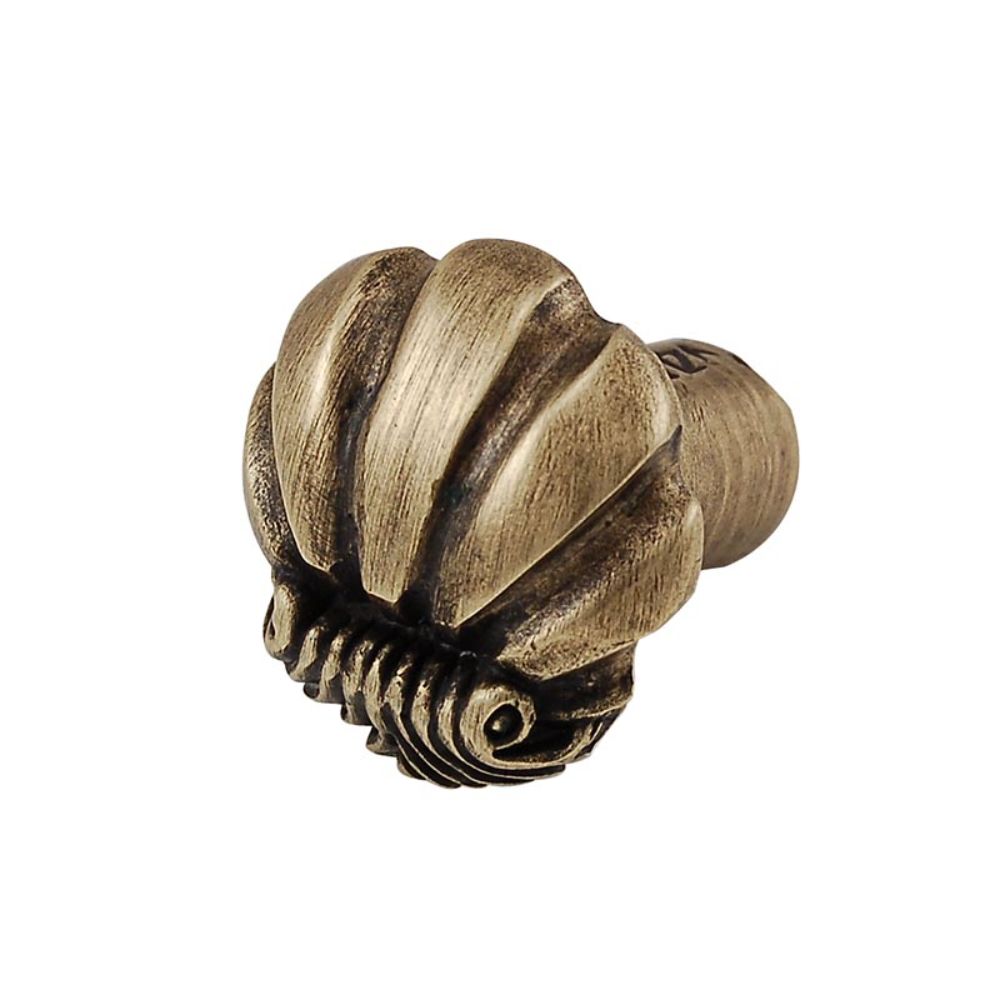 Vicenza K1103-AB Knob Small Shell in Antique Brass