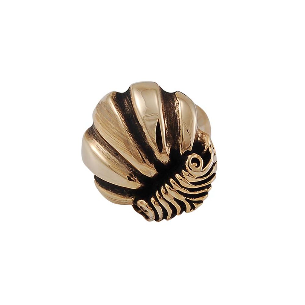 Vicenza K1103-AG Knob Small Shell in Antique Gold