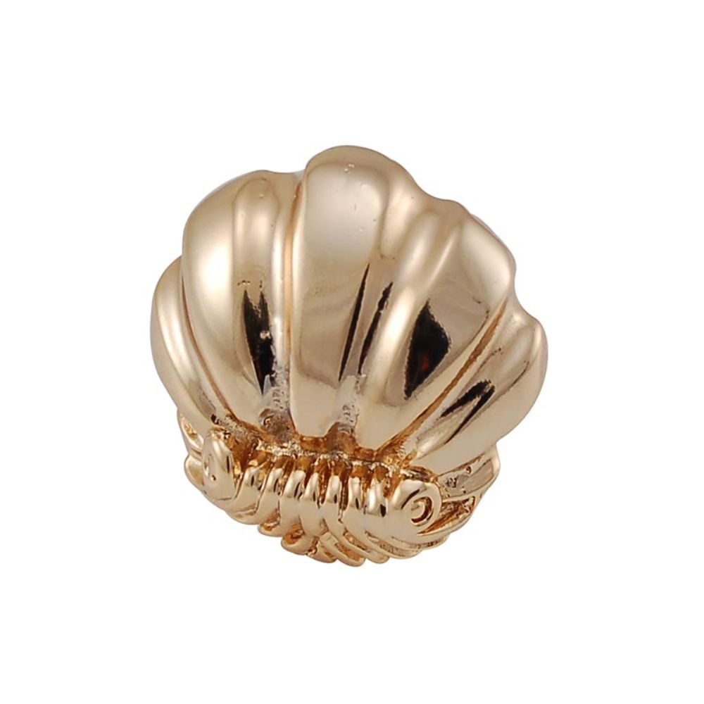 Vicenza K1103-PG Knob Small Shell in Polished Gold