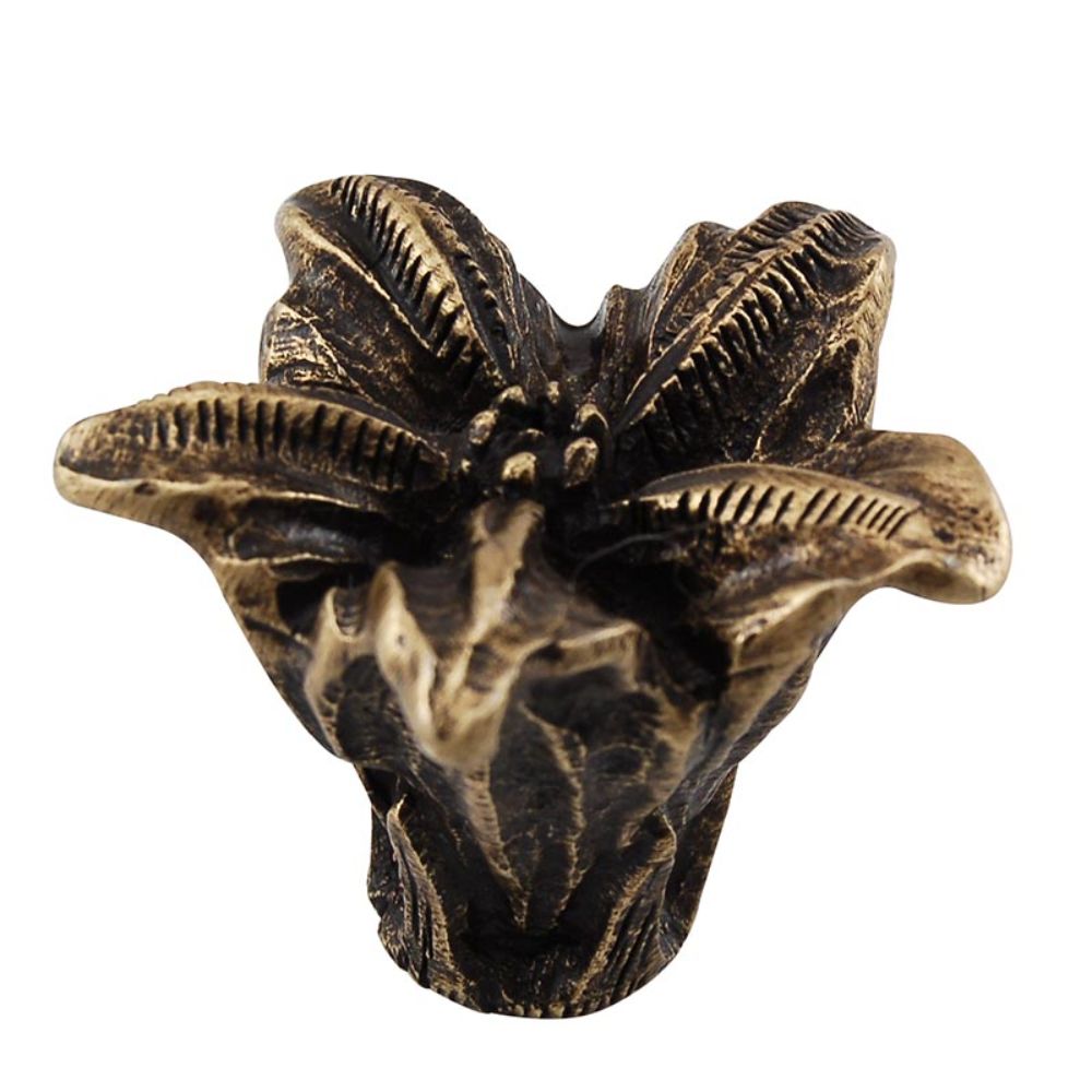Vicenza K1201-AB Carlotta Knob Large Lily in Antique Brass