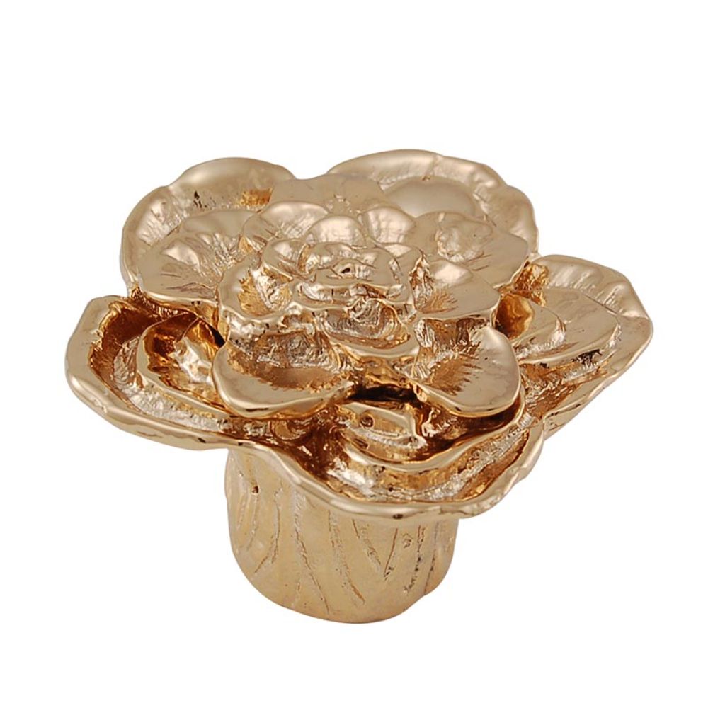 Vicenza K1209-PG Carlotta Knob Large Double Rose with large center in Polished Gold