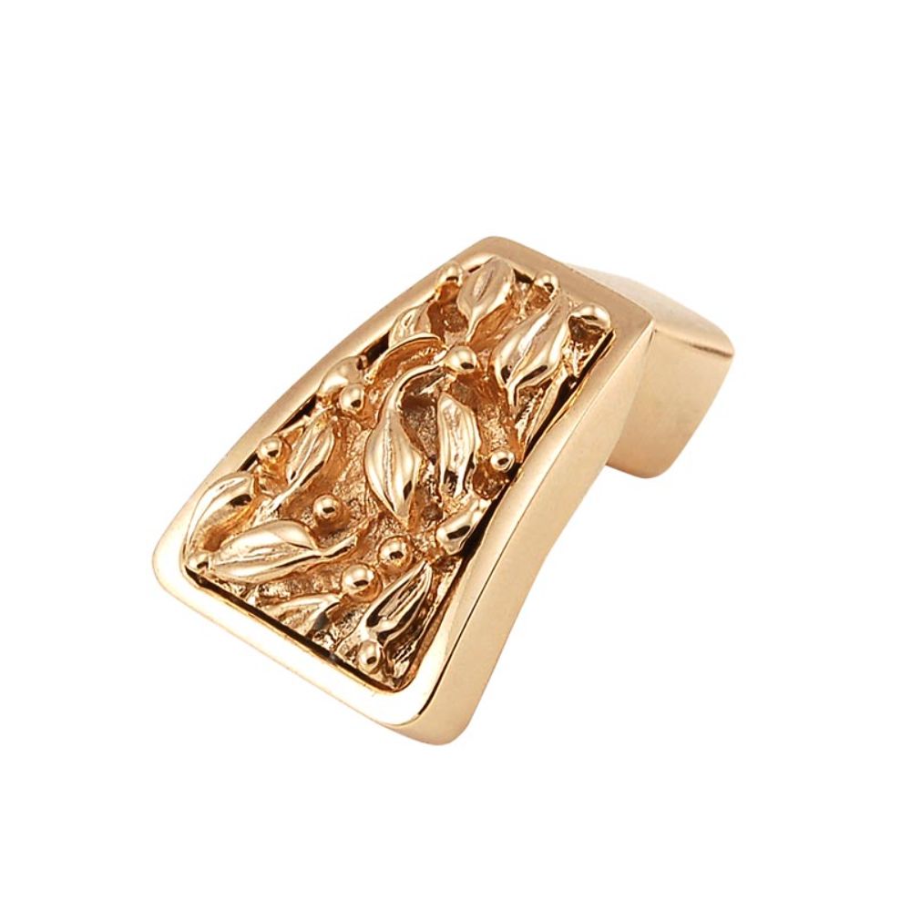 Vicenza K1250-PG San Michele Finger Pull Knob in Polished Gold