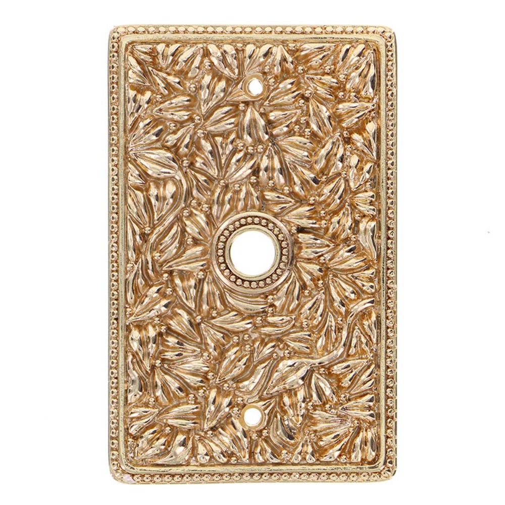 Vicenza WP7009-PG San Michele Wall Plate TV/Phone in Polished Gold