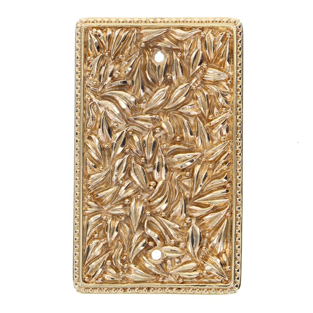 Vicenza WP7010-PG San Michele Wall Plate Blank in Polished Gold