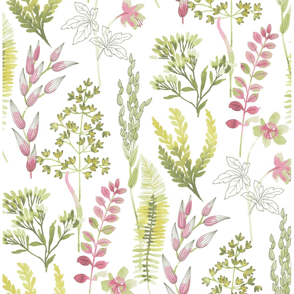 NextWall NW45407 Wild Garden Wallpaper in Lemongrass & Posy Pink