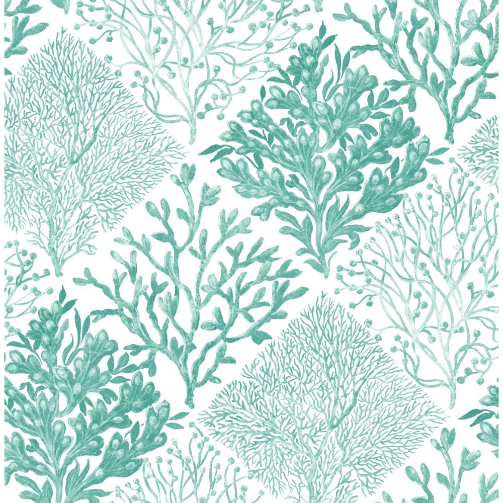 NextWall NW45806 Seaweed Wallpaper in Seaglass