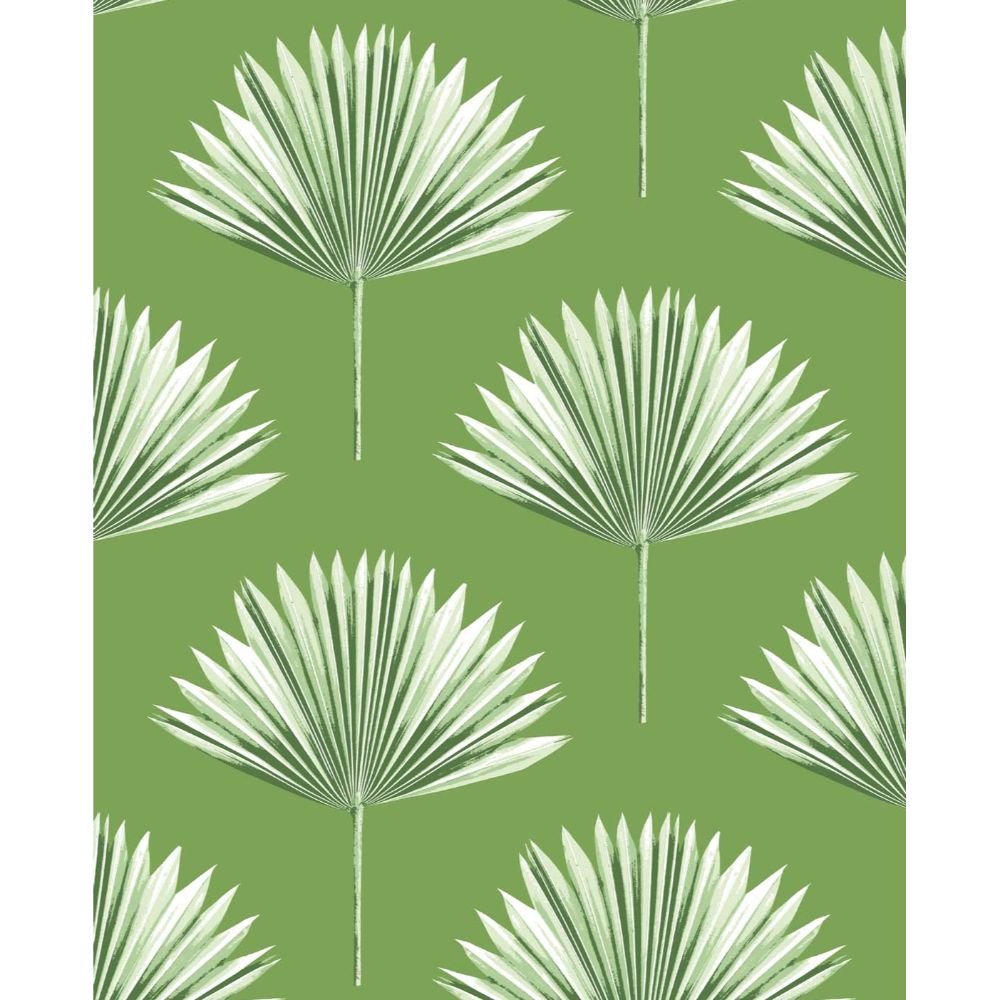 NextWall NW46504 Tropical Fan Palm Wallpaper in Green Sprout