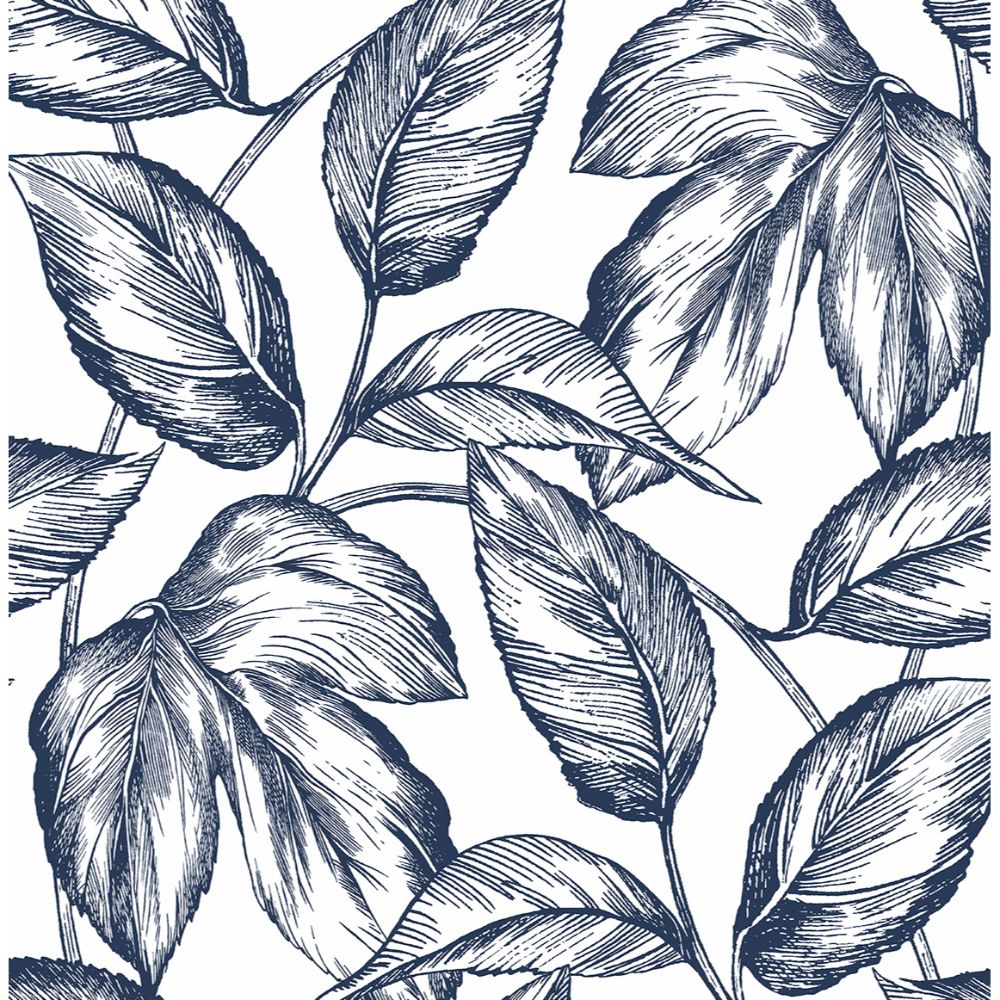 NextWall NW46902 Sketched Leaves Wallpaper in Navy Blue
