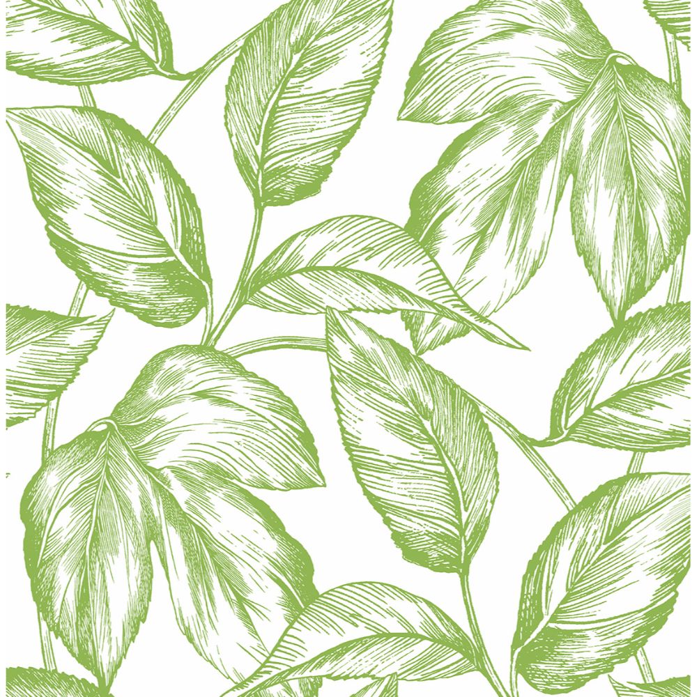 NextWall NW46904 Sketched Leaves Wallpaper in Greenery