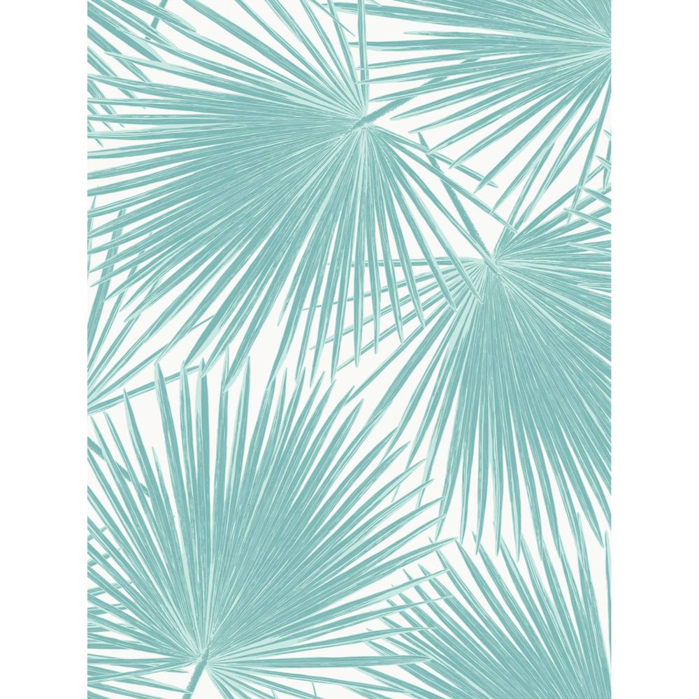 NextWall NW47702 Aruba Palm Wallpaper in Tropical Aqua
