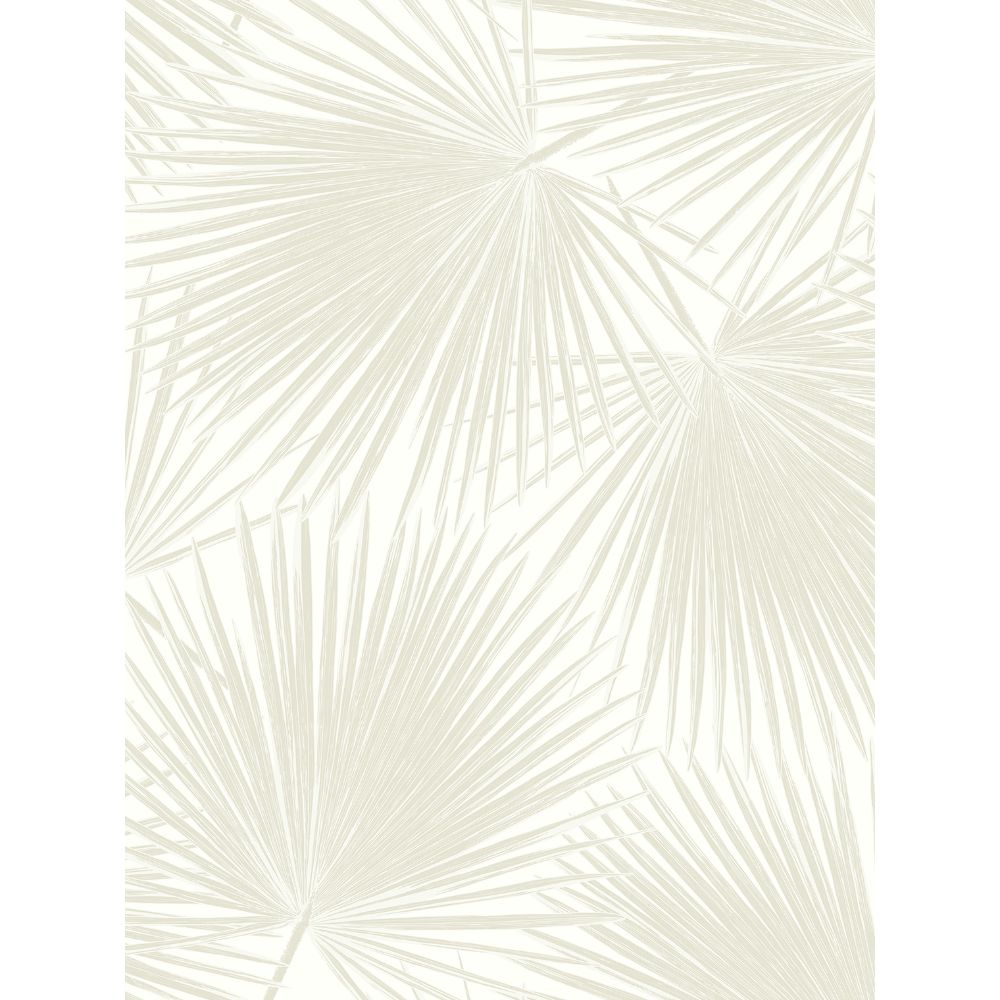 NextWall NW47710 Aruba Palm Wallpaper in Sea Salt