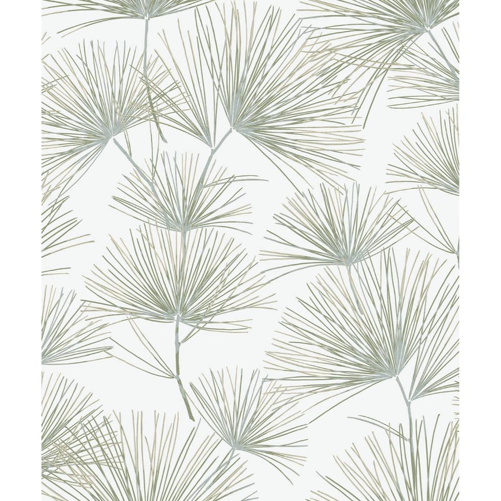 NextWall NW52104 Pine Needles Wallpaper in Aloe Green