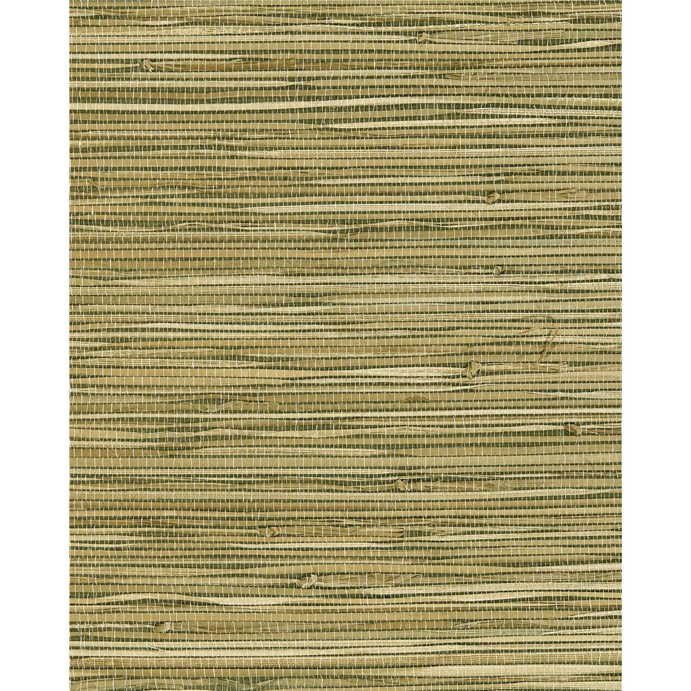 Washington Wallcoverings As539 Asian Splendor Medium Khaki Celedon Green Blend Natural Grasscloth Wallpaper