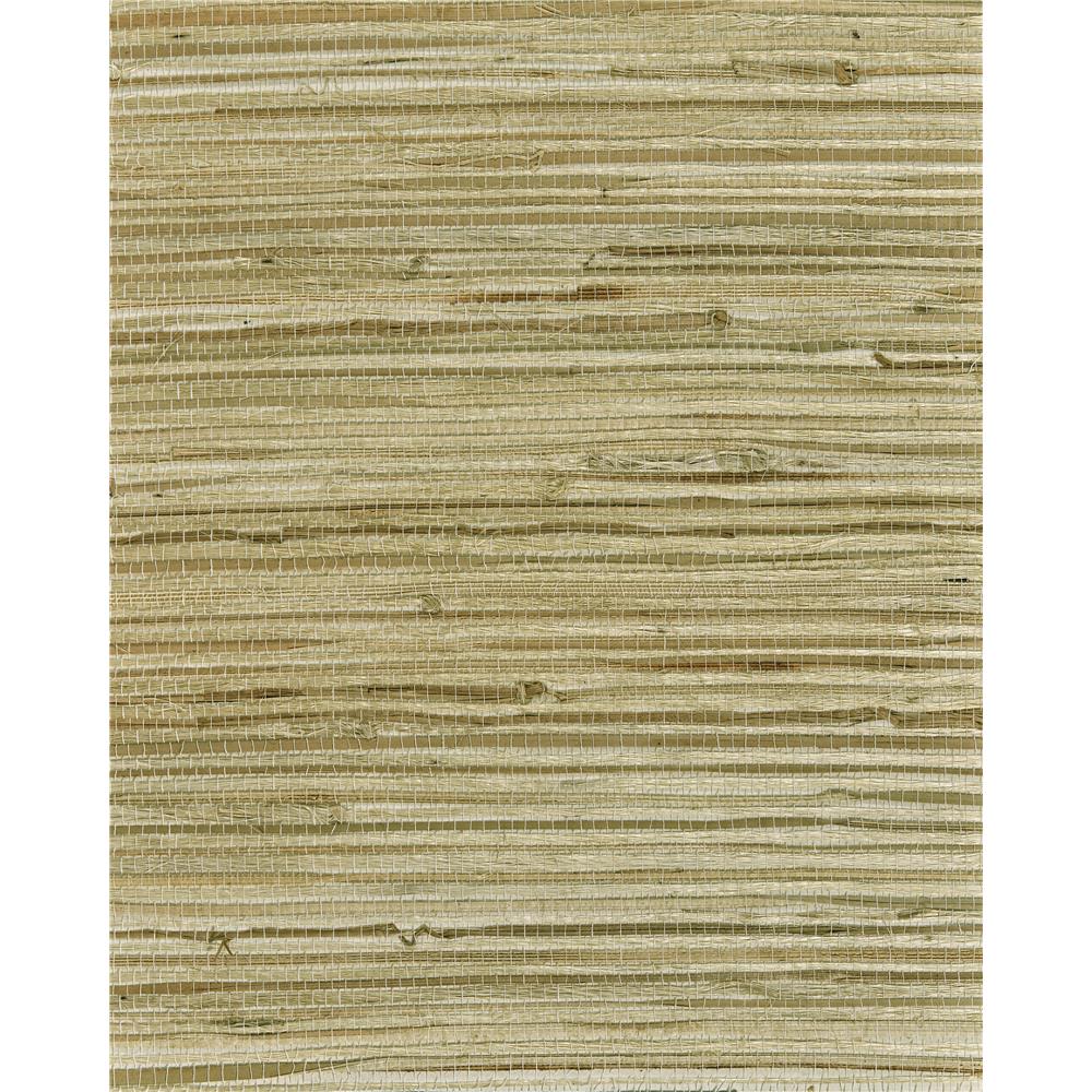 Washington Wallcoverings As610 Asian Splendor Pale Straw Blend Natural Grasscloth Wallpaper