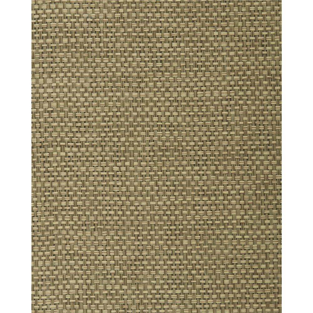 Washington Wallcoverings BA 443 Khaki Blend Paperweave Grasscloth