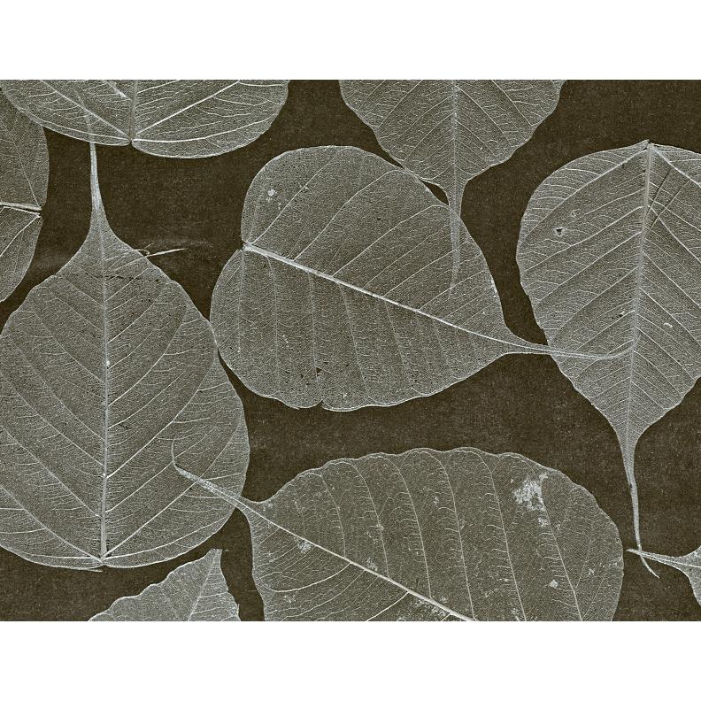 Washington Wallcoverings D 70305 Black Silver Leaves