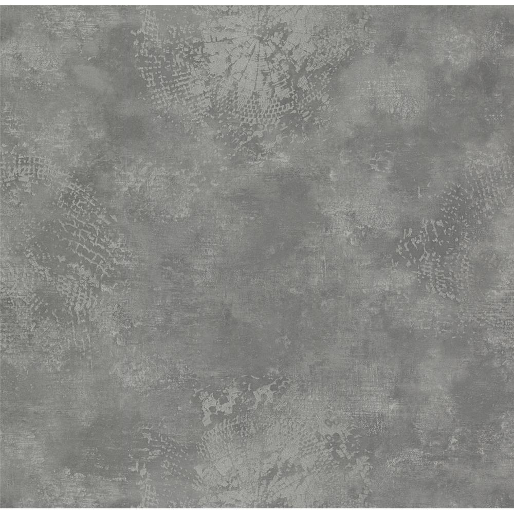 York Wallcoverings 83625 Urban Oasis Relic Wallpaper in Charcoal