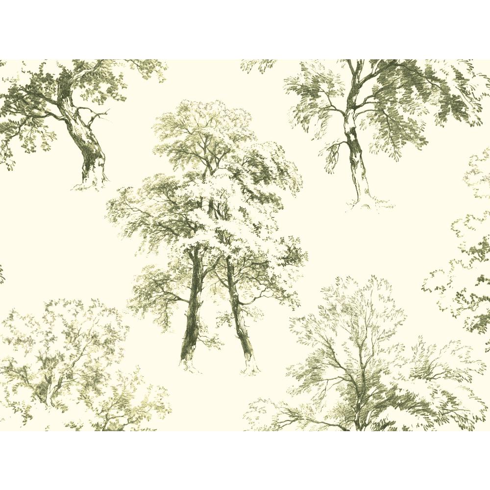 Ashford House by York AF1923 Ashford Toiles Deciduous Wallpaper in green/white