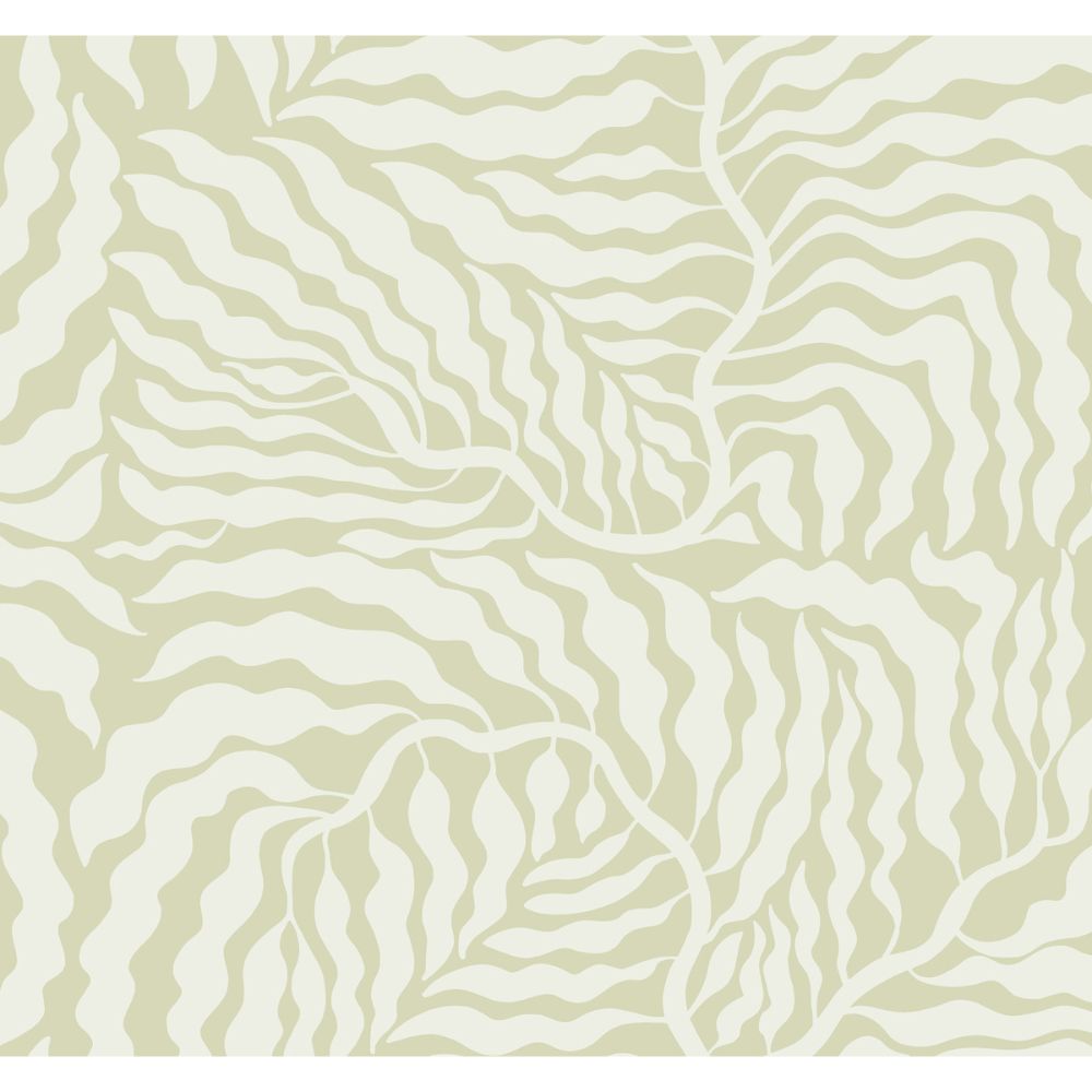 York AG2065 Artistic Abstracts Light Green & White Fern Fronds Wallpaper