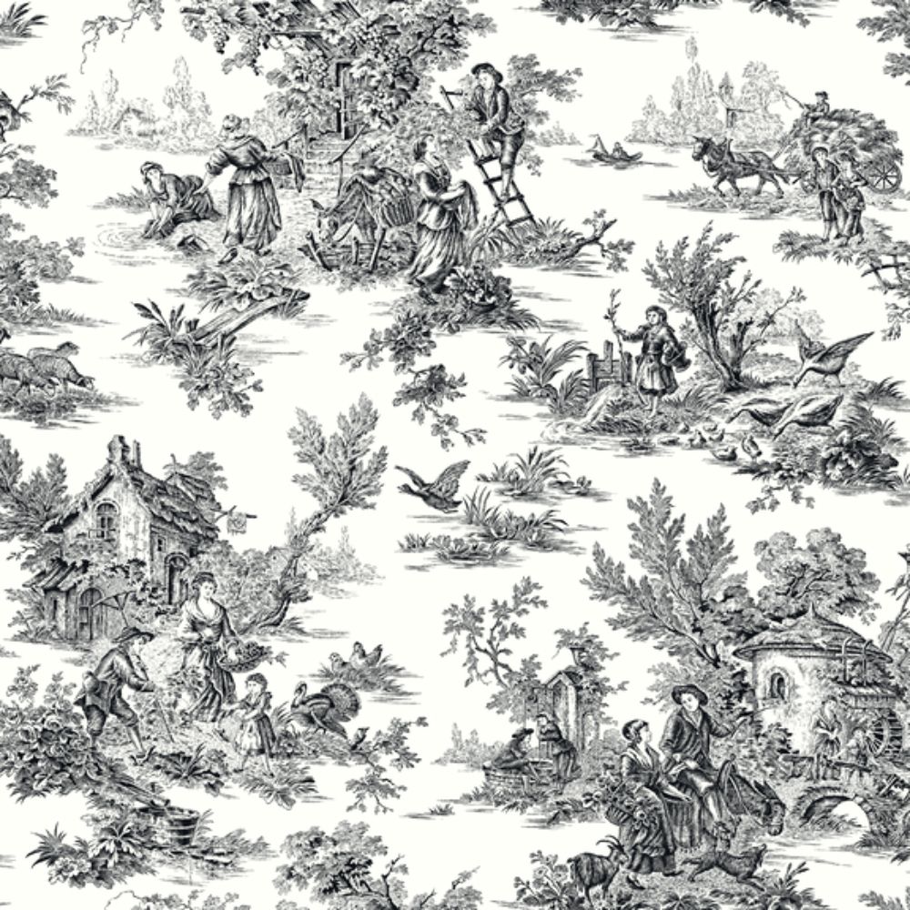 Inspired by Color by York Black & White Champagne Toile Wallcovering in Black/White