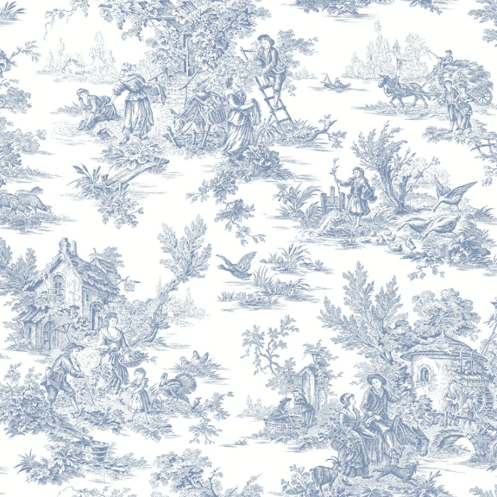 Ashford House by York AT4229 Ashford Toiles Champagne Toile Wallpaper in blue/white