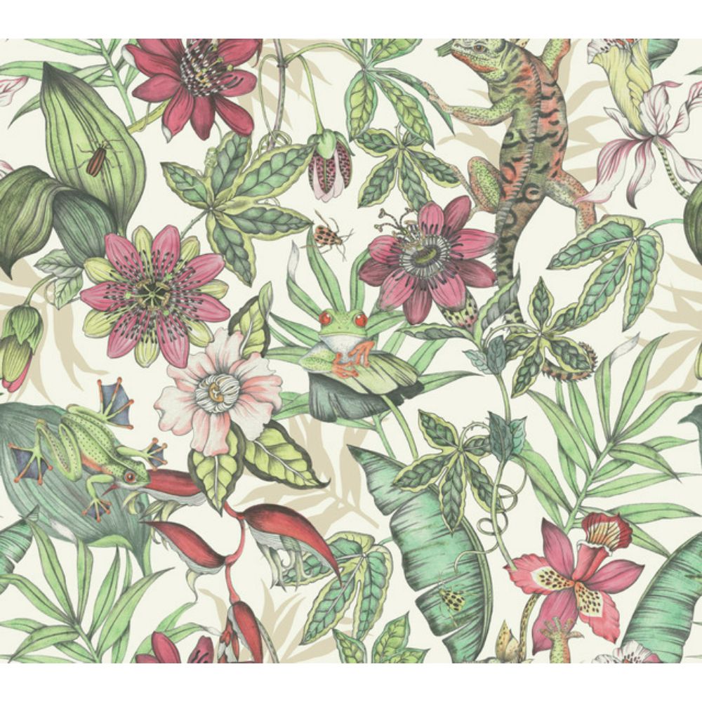 York BL1702 Blooms Multicolor Rainforest Wallpaper