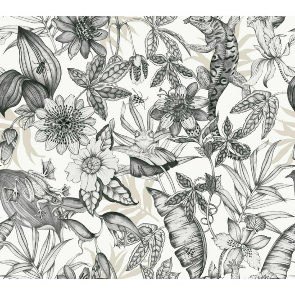 York BL1703 Blooms White & Charcoal Rainforest Wallpaper