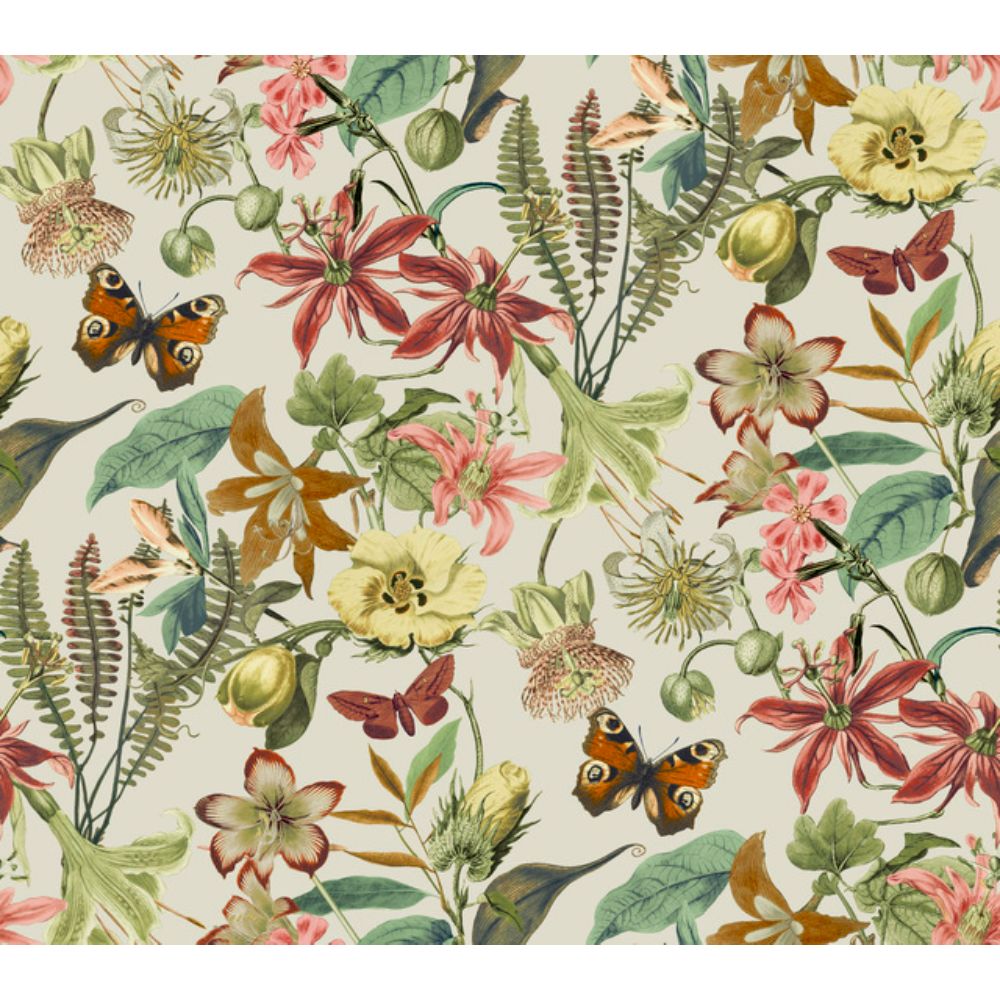 York BL1724 Blooms Light Taupe & Coral Butterfly House Wallpaper