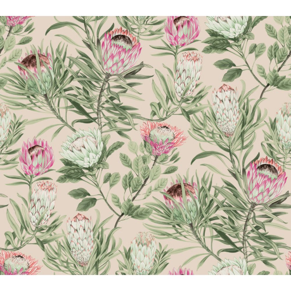York BL1751 Blooms Blush Protea Wallpaper