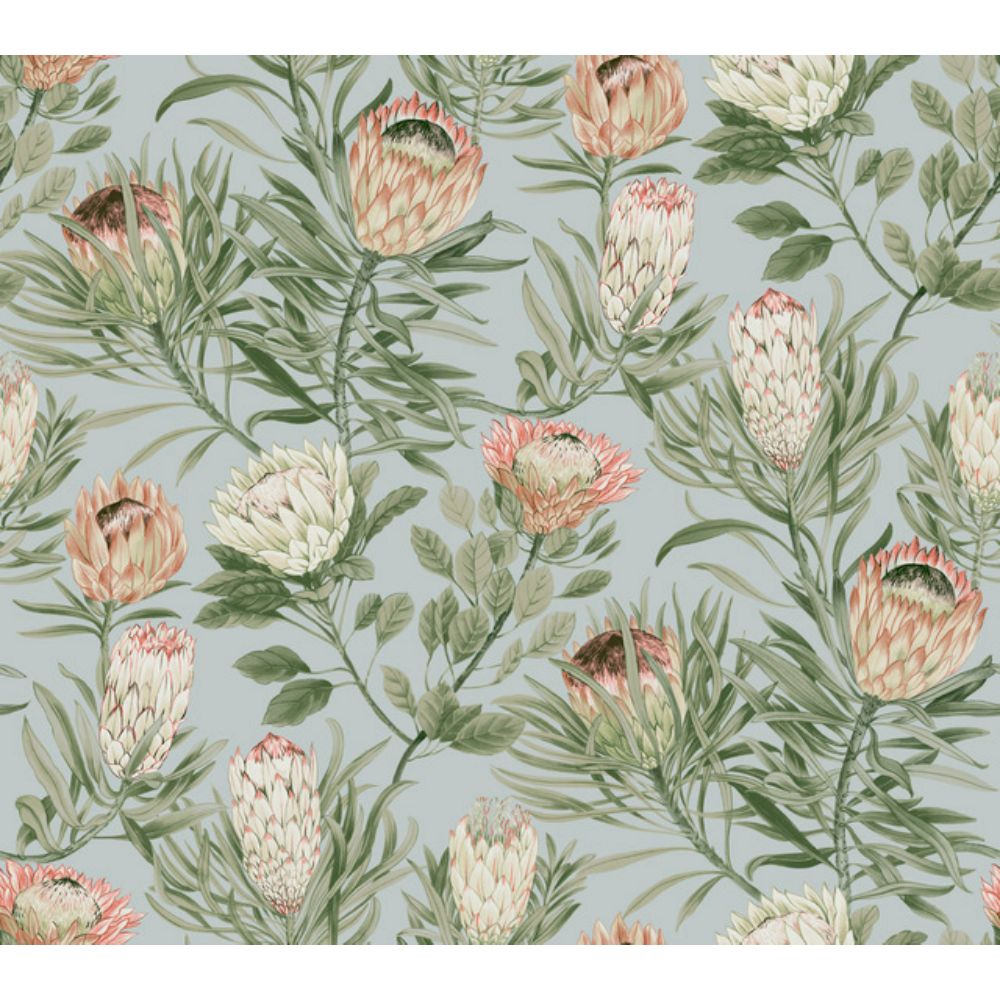 York BL1755 Blooms Dusty Blue & Coral Protea Wallpaper