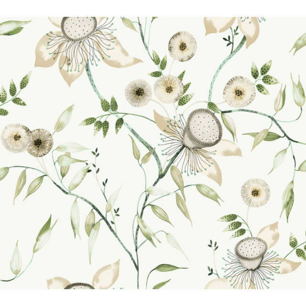 York BL1793 Blooms White & Green Dream Blossom Wallpaper
