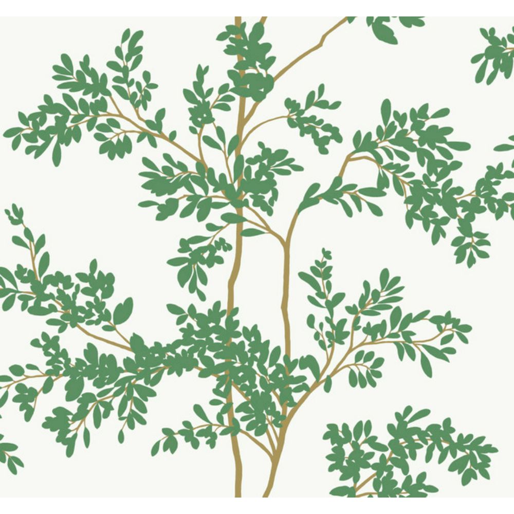 York BL1801 Blooms White & Green Lunaria Silhouette Wallpaper