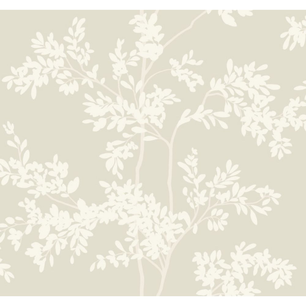 York BL1805 Blooms Light Taupe & White Lunaria Silhouette Wallpaper