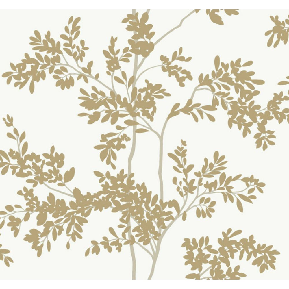 York BL1806 Blooms White & Gold Lunaria Silhouette Wallpaper