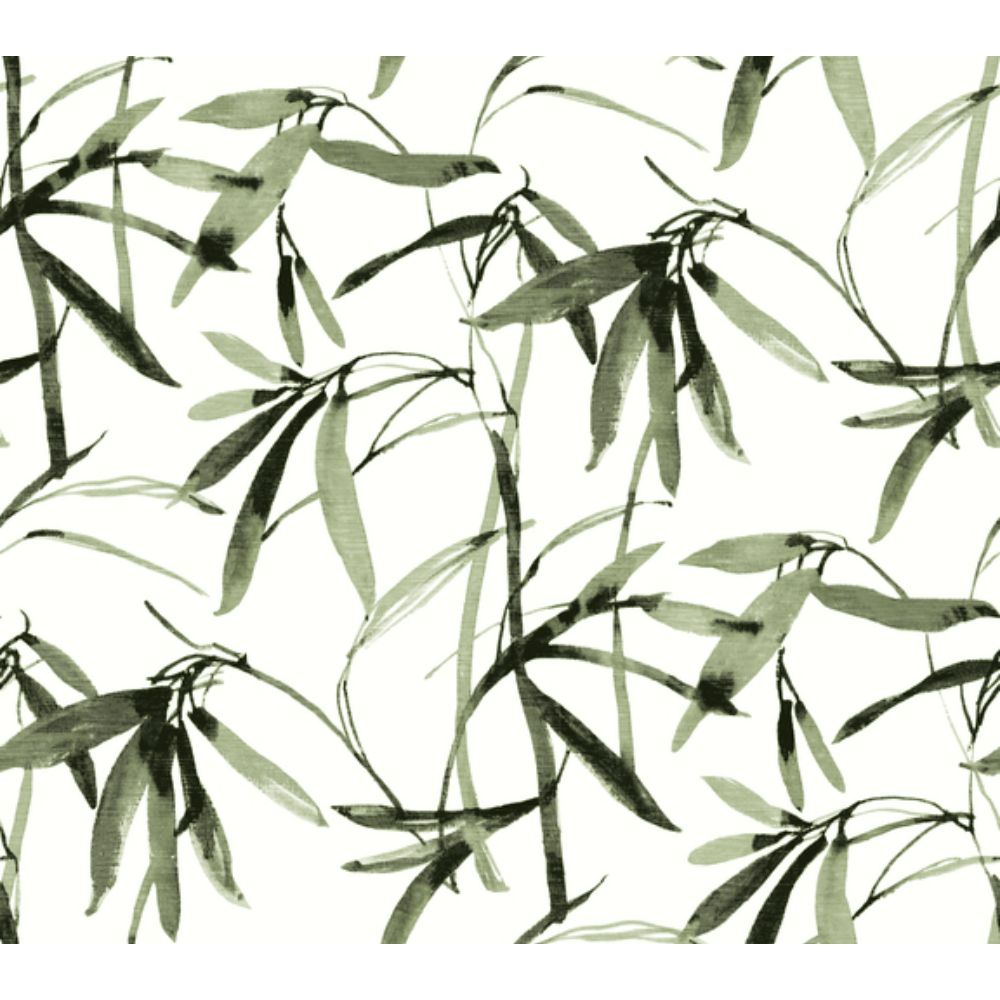 Inspired by Color by York BW3842 Earthy Tones Green & Black Bamboo Ink Wallpaper