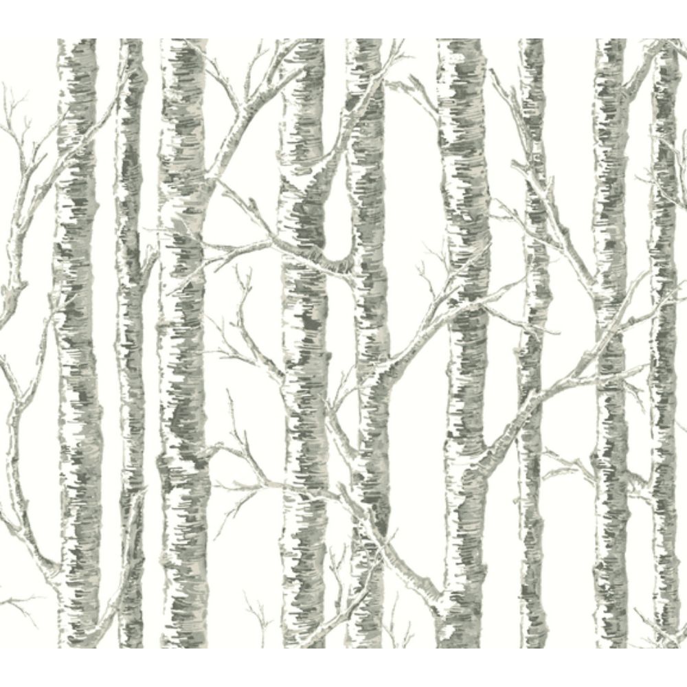 Inspired by Color by York BW3901 Beige & Naturals White & Grey Paper Birch Wallpaper