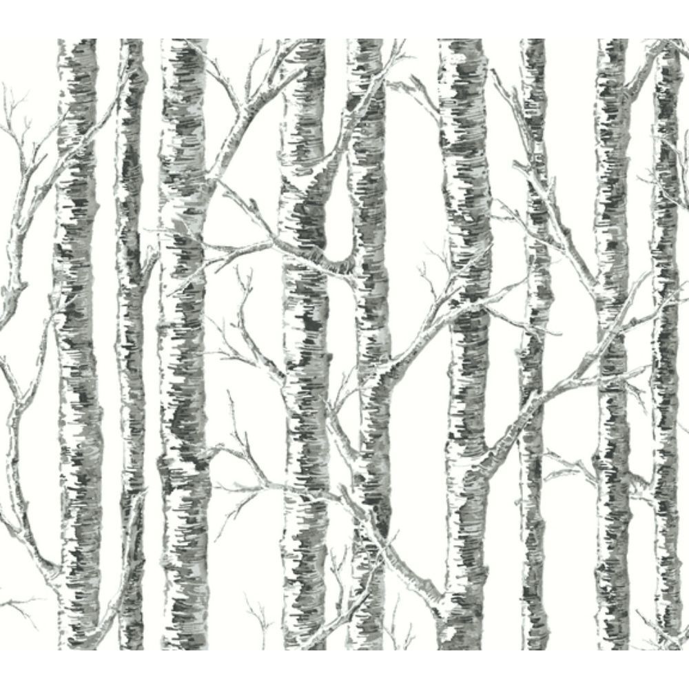 Inspired by Color by York BW3902 Black & White III Black & White Paper Birch Wallpaper