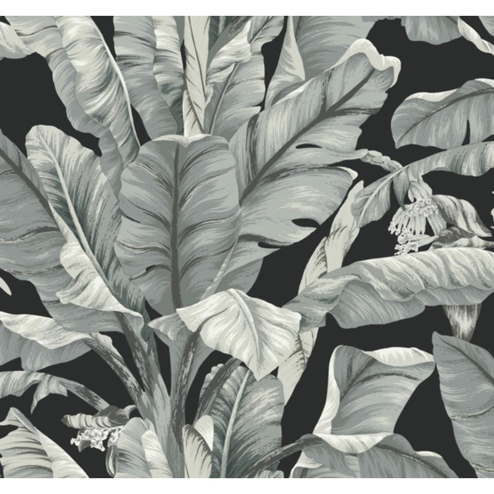 York BW3971 Black & White Resource Library Banana Leaf Wallpaper in Black & White