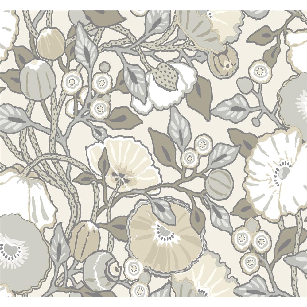 York CY1519 Conservatory Gray Vincent Poppies Wallpaper