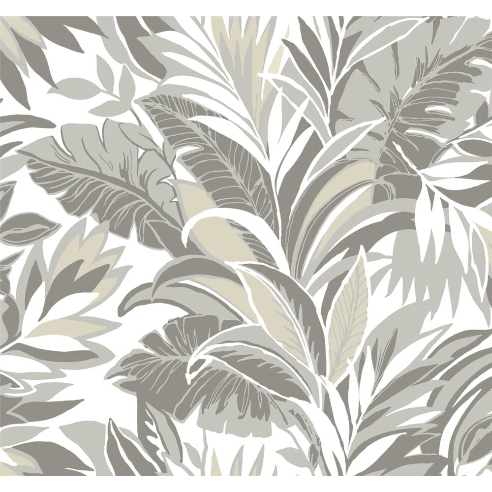 York CY1566 Conservatory Gray / White Palm Silhouette Wallpaper