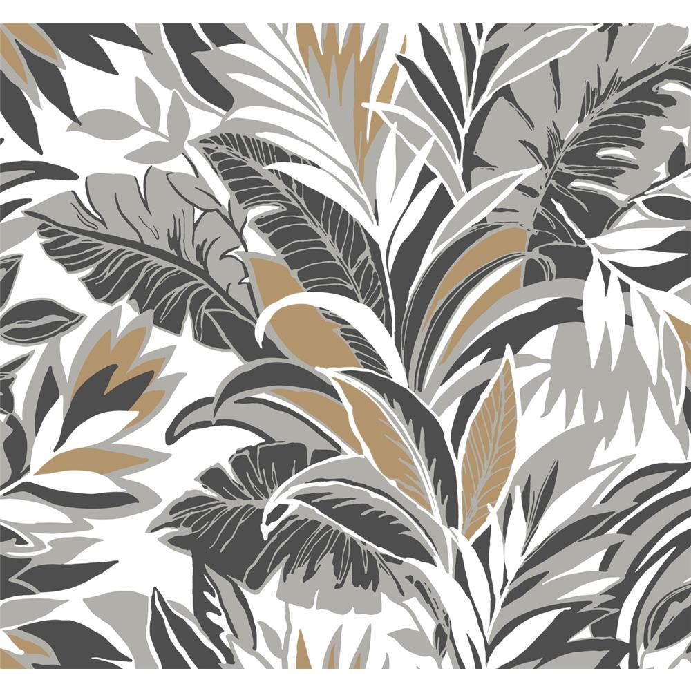 York CY1567 Conservatory Black / Gold Palm Silhouette Wallpaper