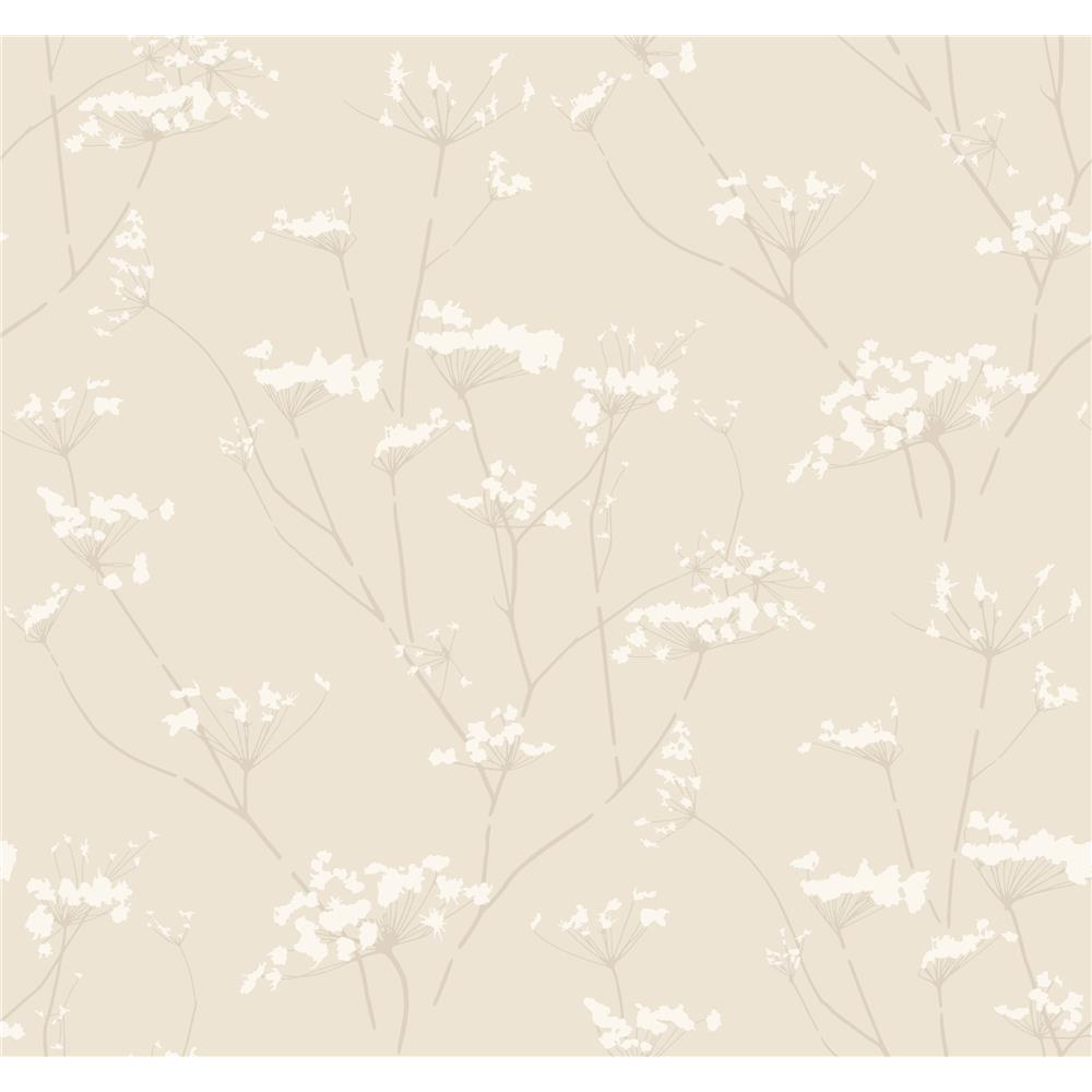 York Wallcoverings DN3708 Modern Luxe Enchanted Wallpaper in d hint of gold, cork tan, whipped cream