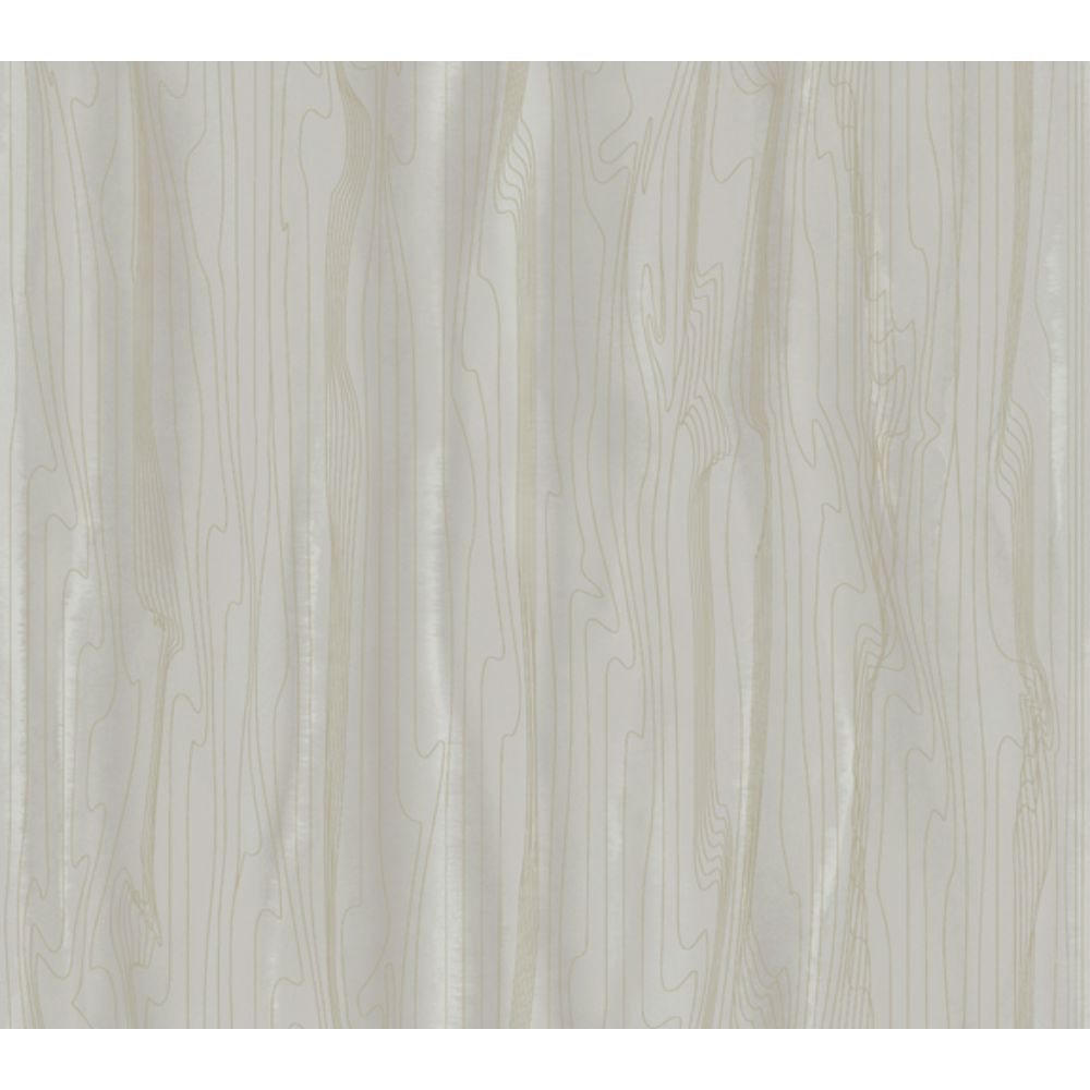 York Designer Series DT5032 Candice Olson After 8 Fantasy Faux Bois Wallpaper in Taupe/Gold