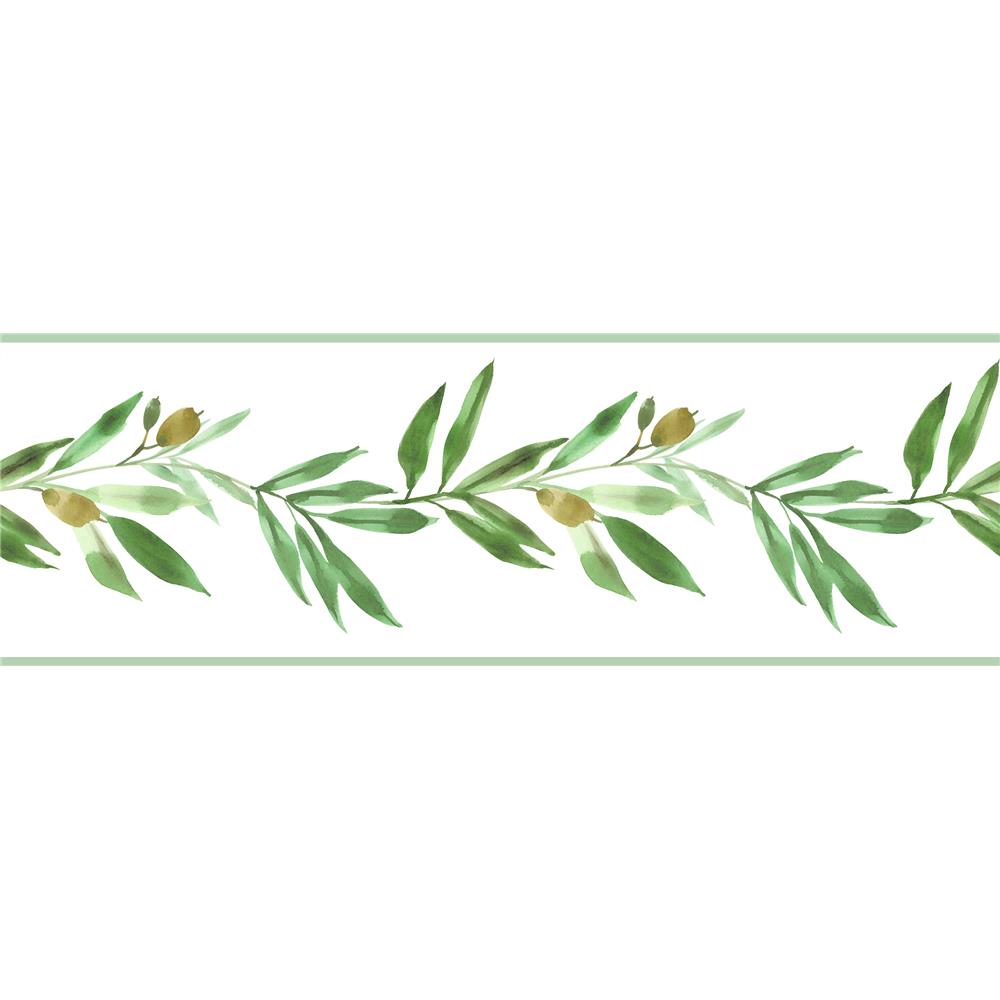 York FH4099BD Simply Farmhouse Olive Branch Border in Green